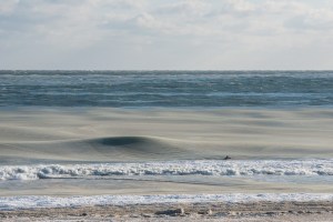 the slush fund surfing life